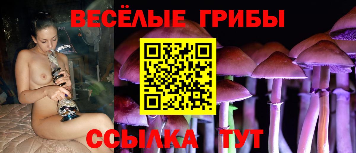 Галлюциногенные грибы Psilocybe  Вход с VPN  Жуковский 